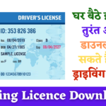 Driving Licence Download 